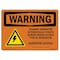 Signmission Safety Sign, OSHA WARNING, 10" Height, Standby Generator Automatically With Symbol, Landscape OS-WS-D-1014-L-12408 - alternate 1